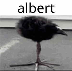 albert